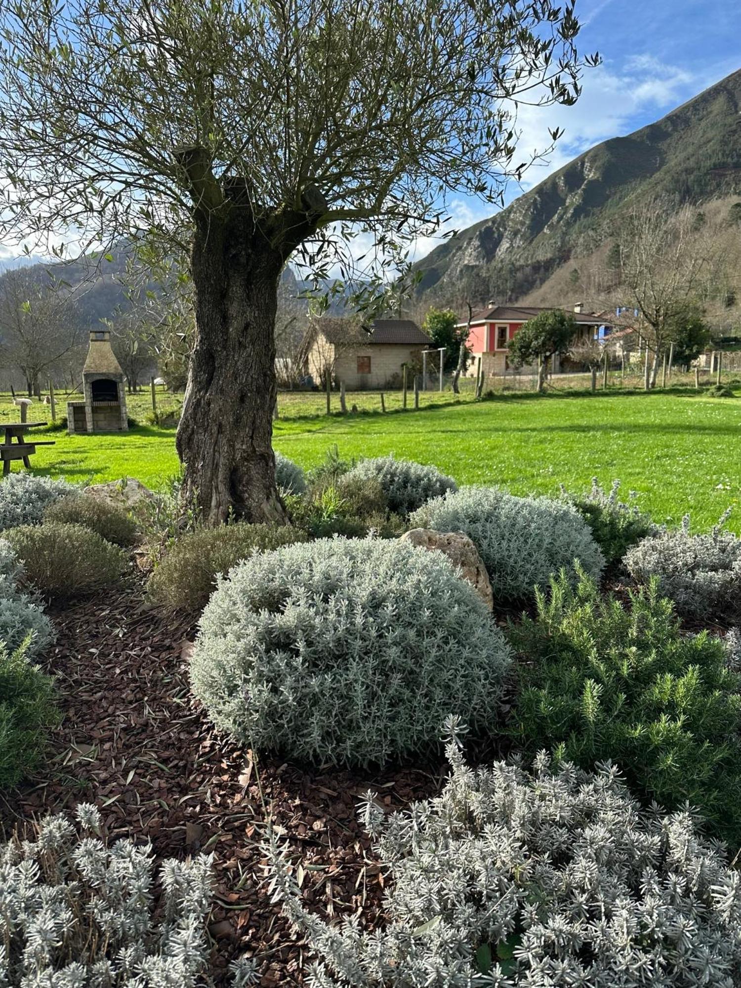 San Juan de Parres Casa Rural Nasares מראה חיצוני תמונה