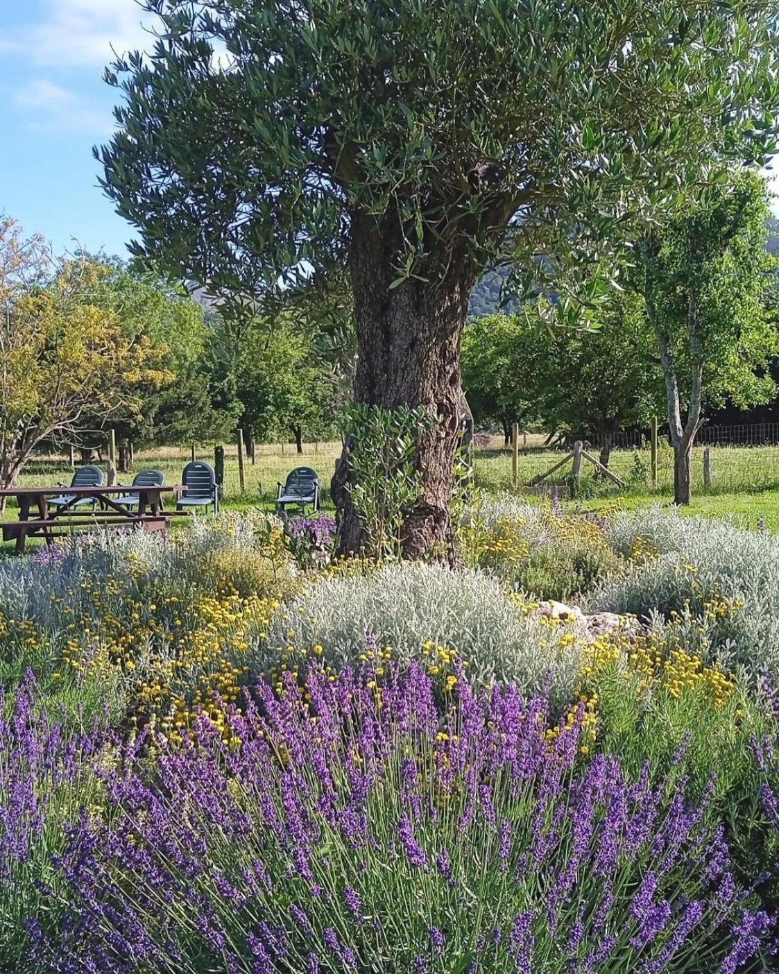San Juan de Parres Casa Rural Nasares מראה חיצוני תמונה